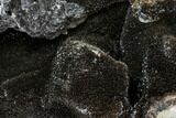 Septarian Dragon Egg Geode - Black Crystals #109974-2